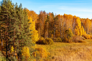 Fototapeta premium Colorful autumn landscape, bright paints of Indian summer in the forest - Image