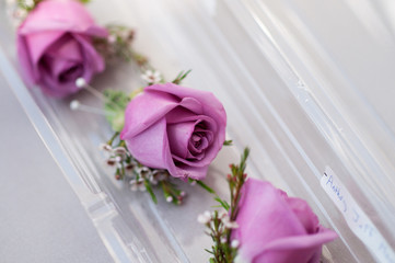 Purple Wedding Boutonnieres 