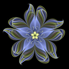 Abstract fractal mandala, computer-generated illustration.