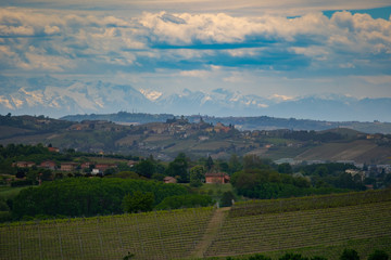 Langhe Monferrato wine area of Piedmont, Italy. Wine tasting region. Famous italian vineyards