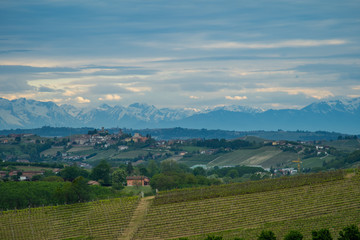 Langhe Monferrato wine area of Piedmont, Italy. Wine tasting region. Famous italian vineyards