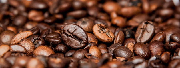 Fototapeta premium Mixture of different kinds of coffee beans. Coffee Background, panorama