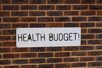 Word writing text Health Budget. Business photo showcasing amount of money to support your health and wellbeing needs