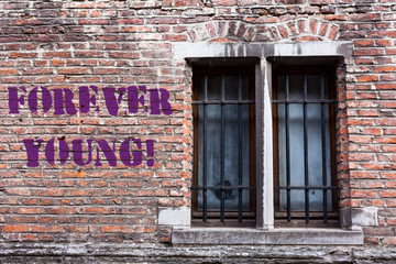 Handwriting text writing Forever Young. Conceptual photo mindset of a being fresh and carefree no...