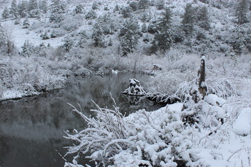 Snowy river and forest
