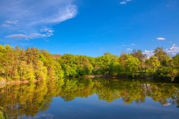 Fototapeta na wymiar idyllic nature with trees and lake 