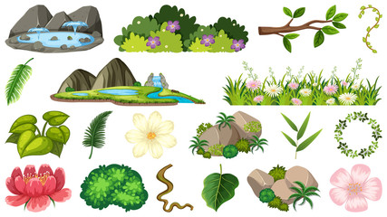 Set of ornamental plants © brgfx