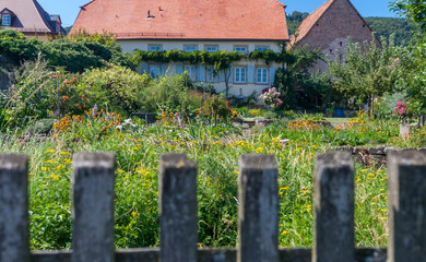 Naklejka premium Blick ueber den Gartenzaun