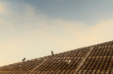 San Cristobal de las Casas