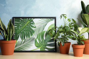 Potted home plants and picture on table against color wall