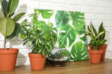 Potted home plants and picture on table against brick wall