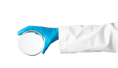 Scientist holding clean Petri dish on white background. Chemical research