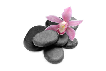 Beautiful orchid flower and spa stones on white background
