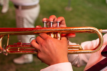 Hands and trumpet