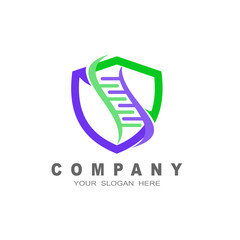 shield logo, security icon, shield DNA medical logo template