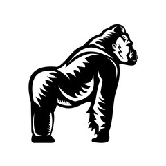 Retro woodcut style illustration of a silverback gorilla leaning on it's knuckles viewed from side on isolated background done in black and white.