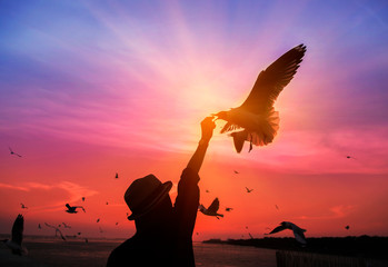 Women with long hair wearing hats are feeding the seagulls. In the evening the sun is falling.