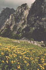 Exploration des Alpes: Chapelle et chalet à Bise Ubine à la Découverte des Trésors du Chablais