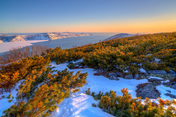 Beautiful landscape of the sea coast with hills, cape and bay. Siberian dwarf pine and snow on the hillside. Evening light at sunset. Nagaev Bay, Sea of ​​Okhotsk, Magadan Region, Far East of Russia.