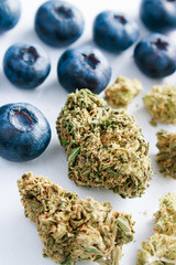 Organic Blueberries & Trimmed Marijuana Flower Buds Up Close On White Background