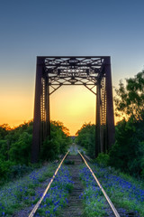 Bluebonnet railroad