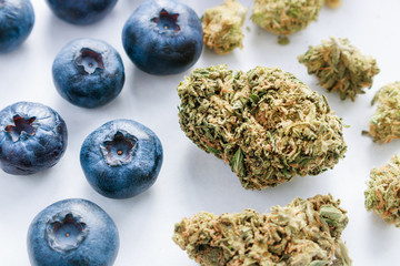 Organic Blueberries & Trimmed Marijuana Flower Buds On White Background