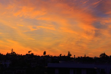Fototapeta premium Sunrise