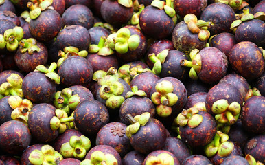 close up on fresh mangosteen fruit as food background