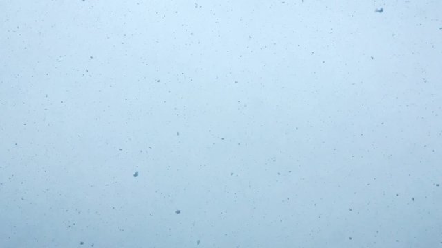 Snow falling down, looking up view point.