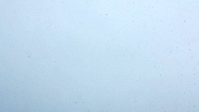 Snow falling down, looking up view point.