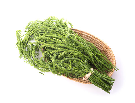 Fresh Chaom vegetable on white background