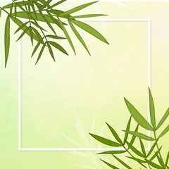 Fototapeta premium Bamboo leaf background