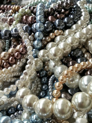 Elegant collection of precious expensive pearl necklaces, accessory close up