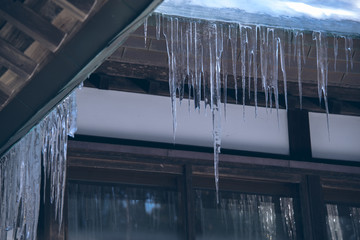 北海道神宮内建物のツララ（Icicles in the precincts of Hokkaido Jingu Shrine）