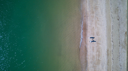 Aerial top down view, couple shadow walks together on beach