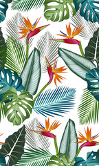 Seamless pattern with bird of paradise: tropical leaves,palms, monstera, alocasia, calathea, jungle leaf seamless vector pattern. Swimwear botanical design. Vector. - Vector