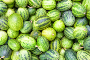 Fresh ripe small watermelons. Freshly harvested sweet fruits