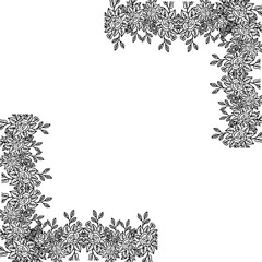 Vector illustration various flower frame with drawing design