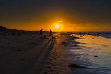 Fototapeta na wymiar Silhouettes, Men, Dogs and Shadows - Sunrise Seascape