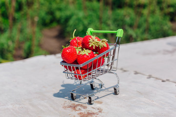 Mini shopping basket full of fresh red ripe strawberry on vintage background