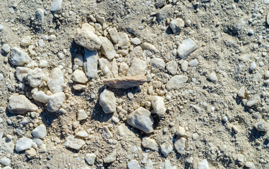 white stones on the ground. Background and texture