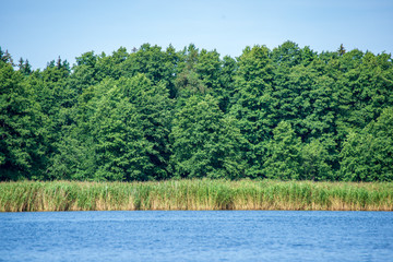 reflections of shore trees in the calm water of a lake