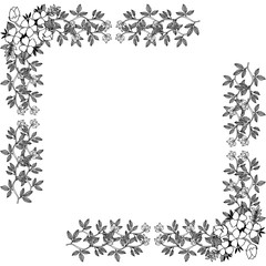 Vector illustration ornate flower frame with design style