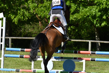 concours hippique avec saut d'obstacles