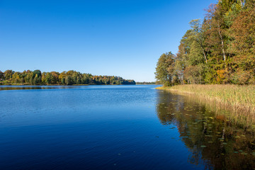 reflections of shore trees in the calm water of a lake