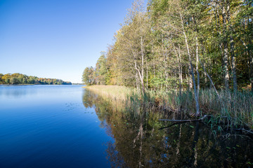 reflections of shore trees in the calm water of a lake