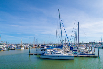 Fototapeta premium yachts in the harbor