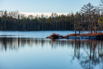 reflections of shore trees in the calm water of a lake