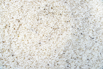 grain rice with many moth.