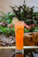 Orange cocktail fruit drink decorated with lemon, garden green plants background